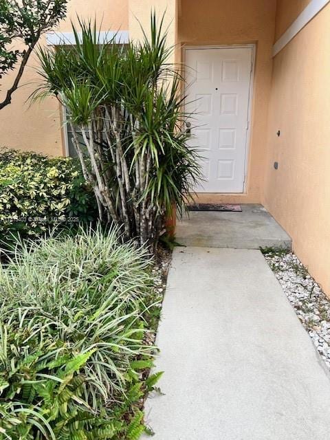 Well kept landscaping by HOA
