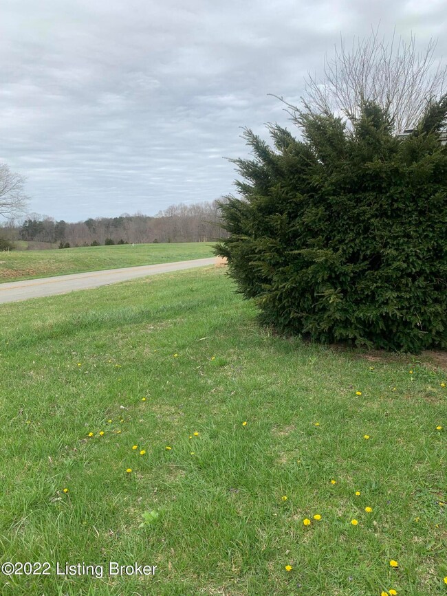 3253 S Highway 619, Jamestown, KY 42629 - photo 7