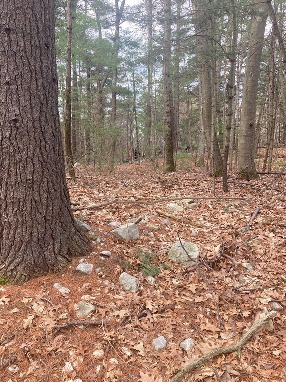 66 Thurlow St, Georgetown, MA 01833 - photo 2