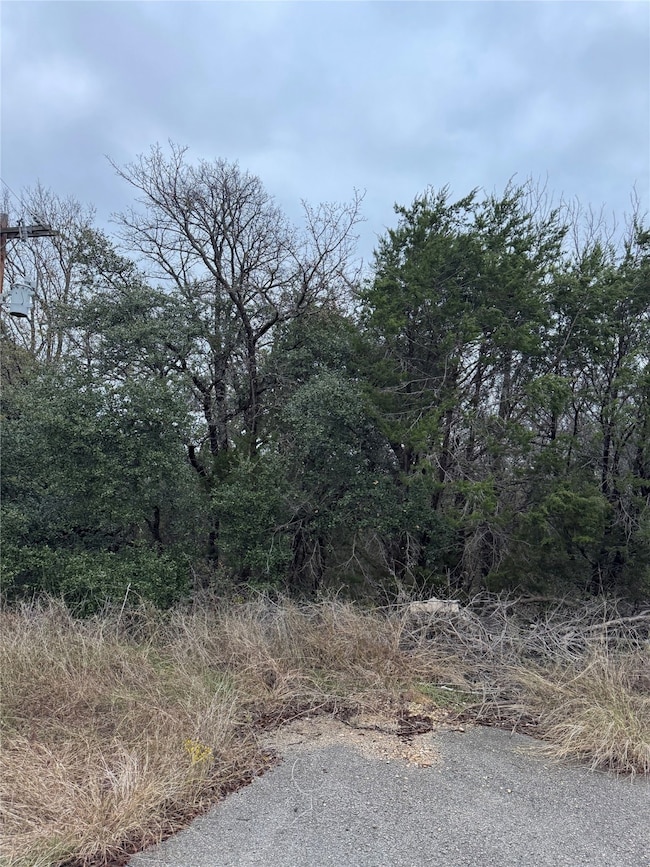 1013 Comanche Cove Dr, Granbury, TX 76048 - photo 2