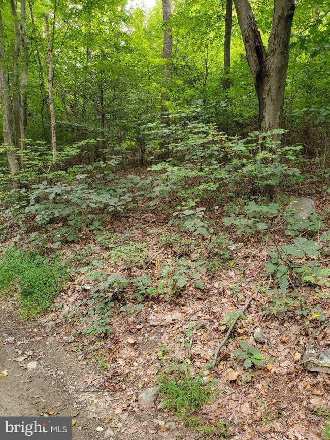 0 Bison Ridge Ln unit PAPY2000378, Newport, PA 17074 - photo 2