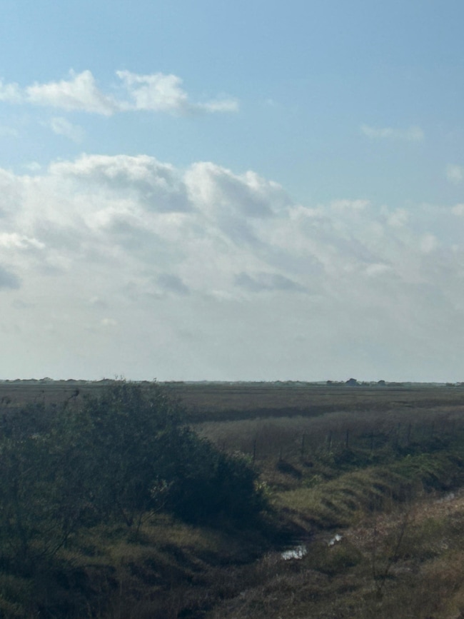 0 County Road 127 unit 25448849, Edna, TX 77957 - photo 4