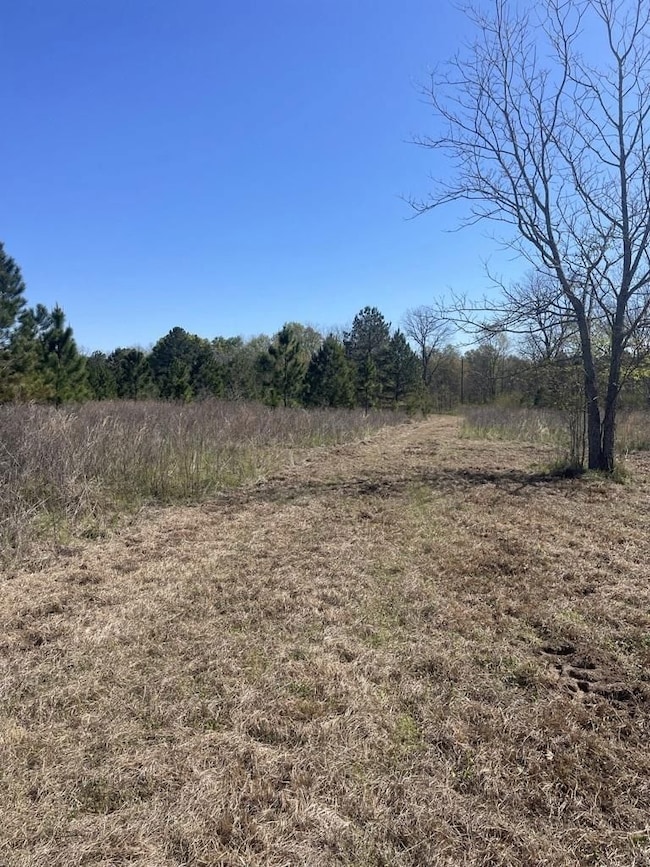 160 Old Nesbitt Rd, Cordele, GA 31015 - photo 4