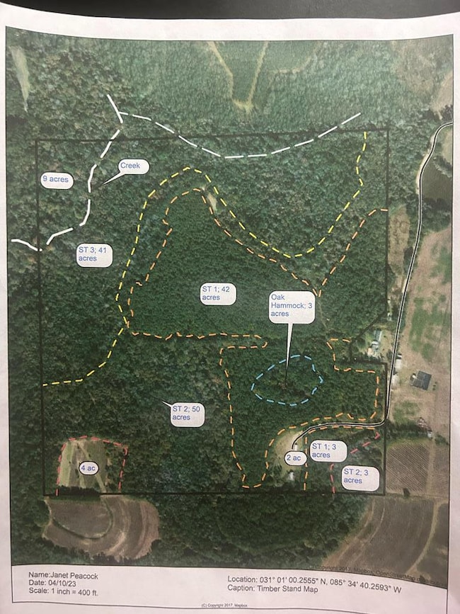 923 Lakeview Rd (159+-Ac), Slocomb, AL 36375 - photo 2