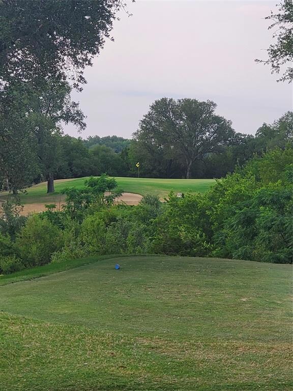 41065 Heartwood Cir, Whitney, TX 76692 - photo 4