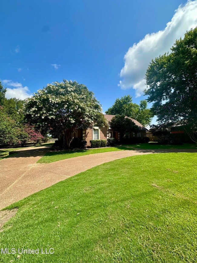 814 Byhalia Rd, Hernando, MS 38632 - photo 2