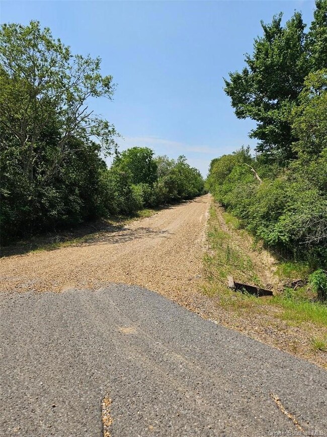 Connie Rd