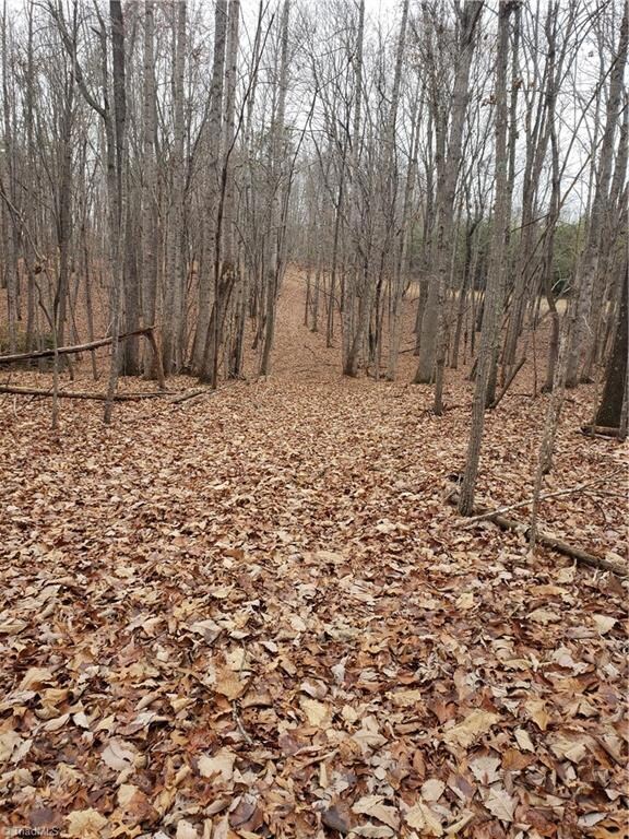 00 Stephens Trail Rd, Sandyridge, NC 27046 - photo 4