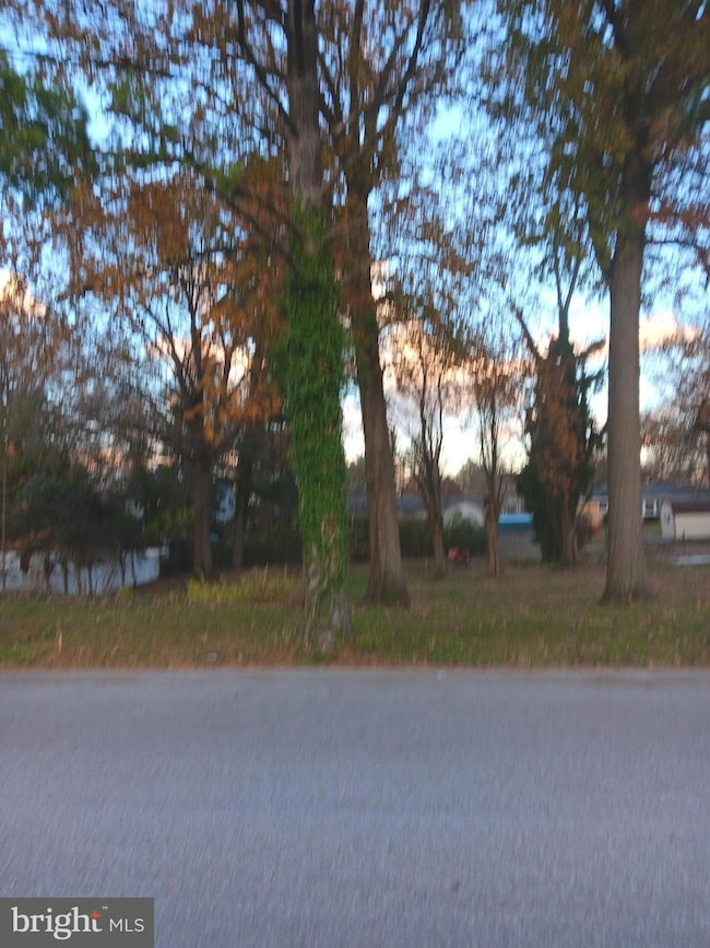 lot 10+11 Conodoguinet Dr, Camp Hill, PA 17011 - photo 3