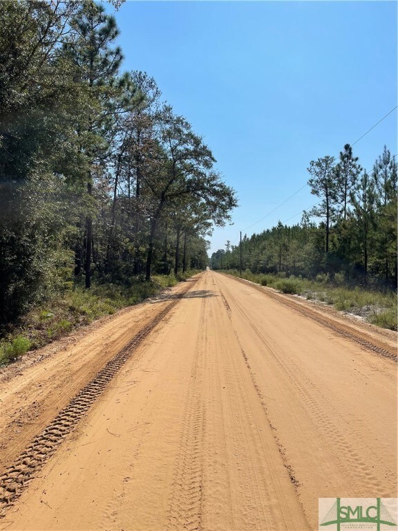 0 Old Augusta Rd unit 319739, Clyo, GA 31303 - photo 2