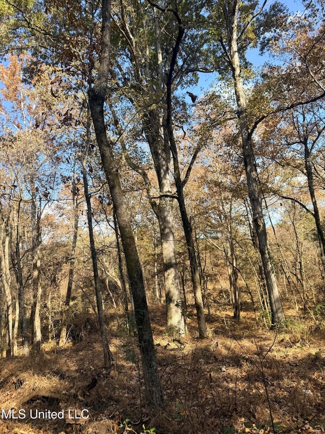 0 Laws Hill Rd unit 4133415, Holly Springs, MS 38635 - photo 2