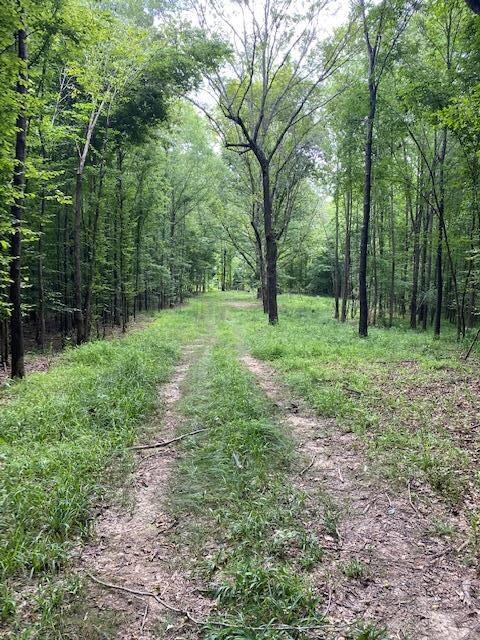 TBD Cr 405 & Hwy 334, Oxford, MS 38655 - photo 7