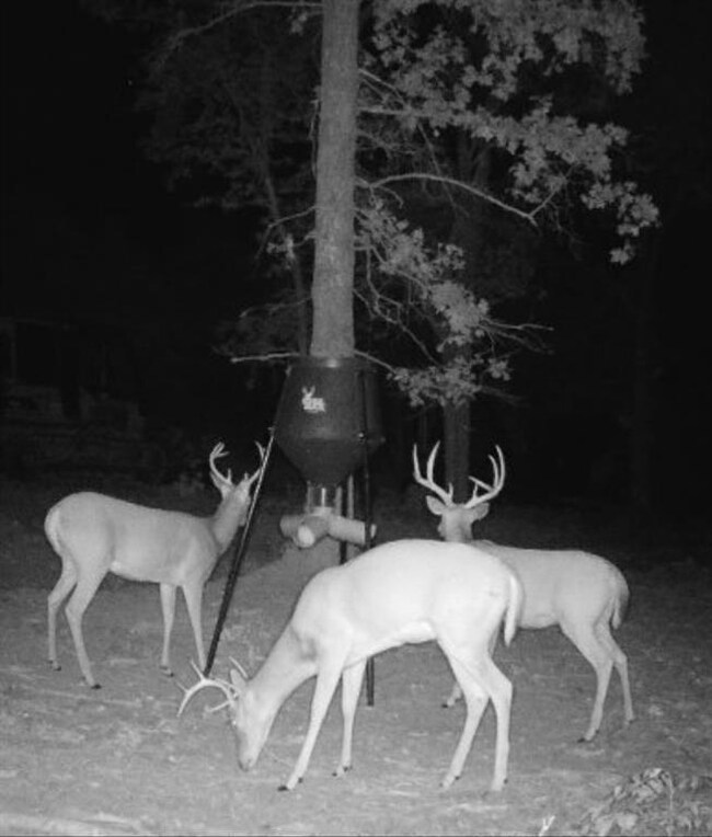 104628 S 3350 Rd, McLoud, OK 74851 - photo 6