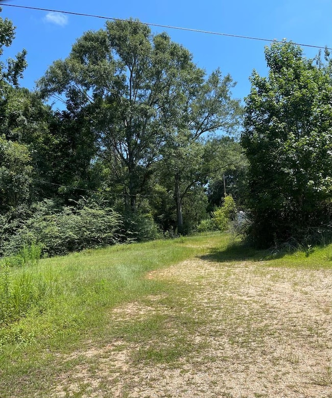 101 Will Thompson Rd, Picayune, MS 39466 - photo 2