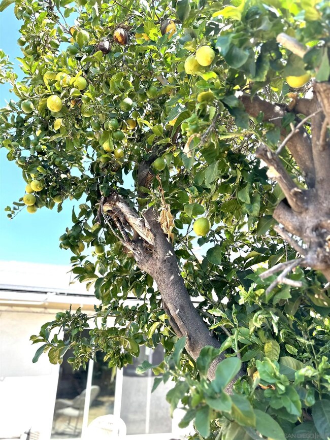 14407 Garden Rd, Poway, CA 92064 - photo 6