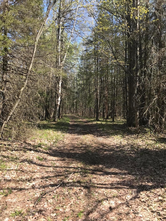 0 E Sand Ridge Rd, Stalwart, MI 49736 - photo 4