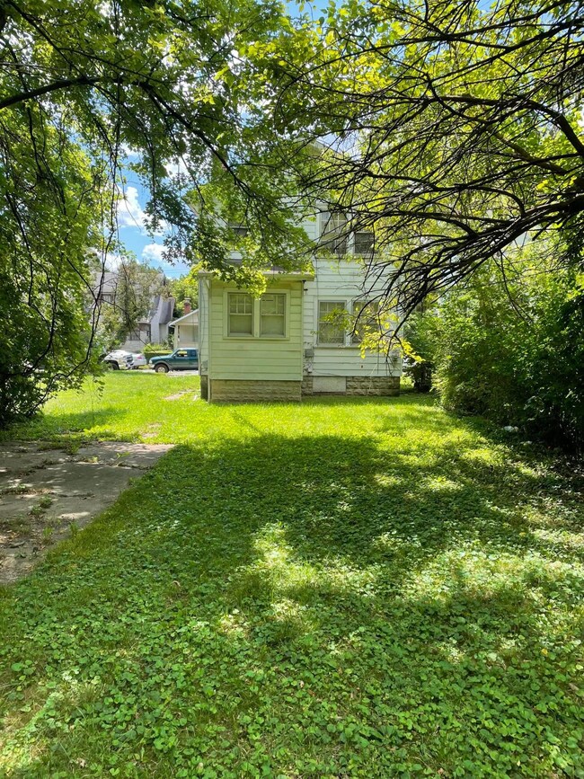Back yard