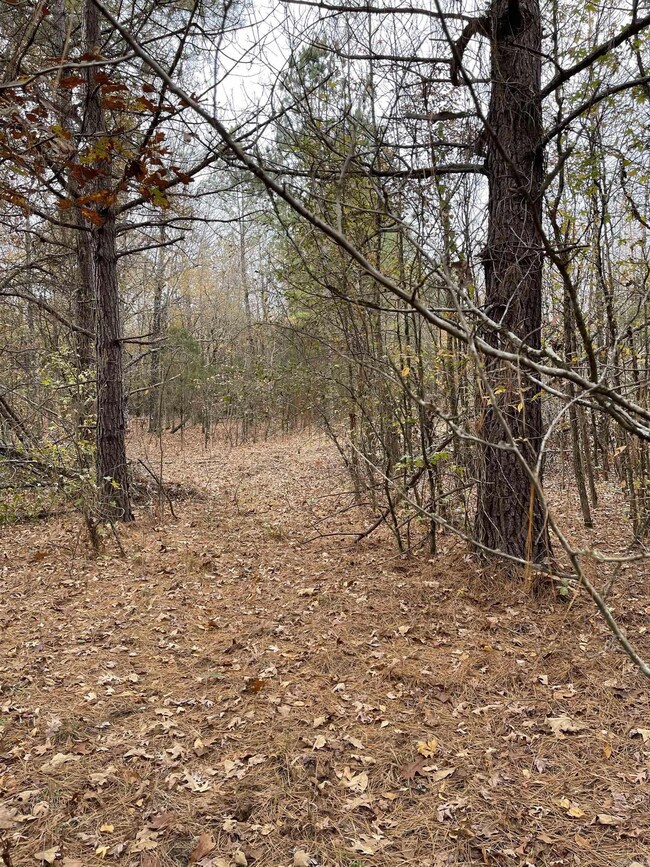 9.57 Acres Greene Road 756, Paragould, AR 72450 - photo 4