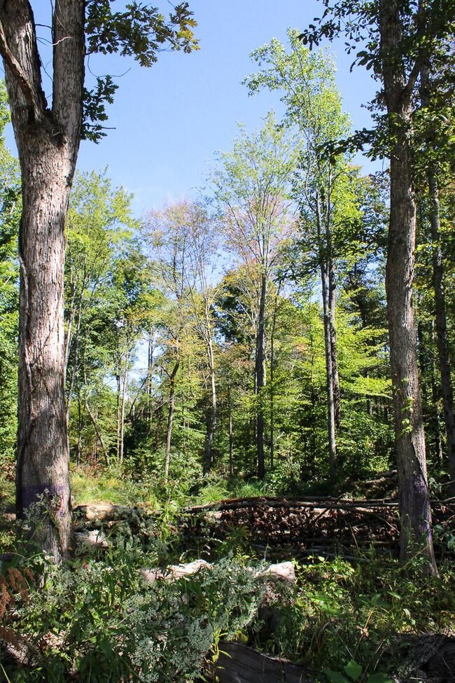 7805 S County Rd 800 W, Commiskey, IN 47227 - photo 5