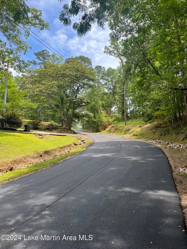 0 Centerport Rd unit 24-1091, Dadeville, AL 36853 - photo 5