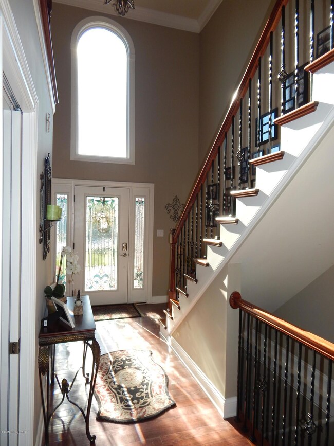 Wonderful entrance foyer