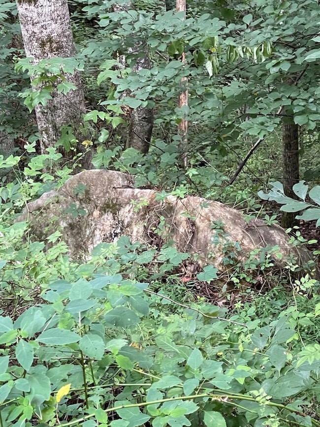 00 Jacobs Mountain Rd, Franklin, NC 28734 - photo 6