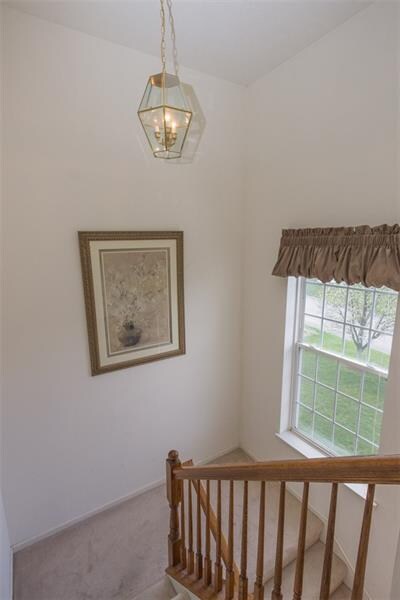 Entry - streaming natural light in your open foyer