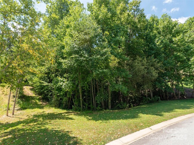 00 Mistletoe Trail Unit 46, Hendersonville, Nc 28791 