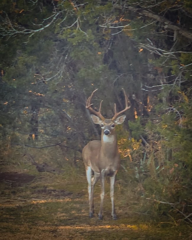 19161 Farm To Markret 2484, Killeen, TX 76542 - photo 7