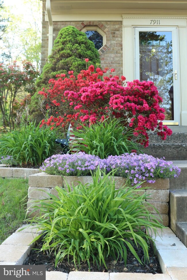 7911 Bethelen Woods Ln, Springfield, VA 22153 - photo 6