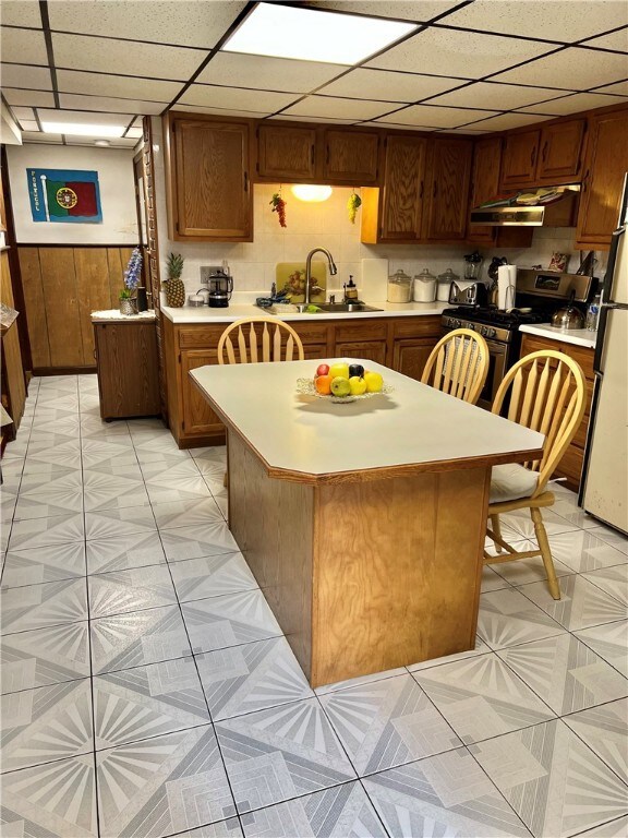 Basement Kitchen