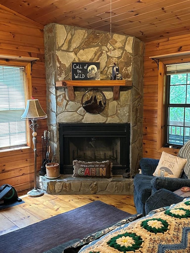 29 River Ranch Rd, Ellijay, GA 30540 - photo 7