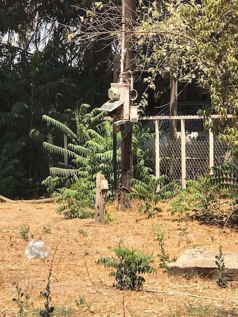 14286 Wilson St, Poplar, CA 93257 - photo 3