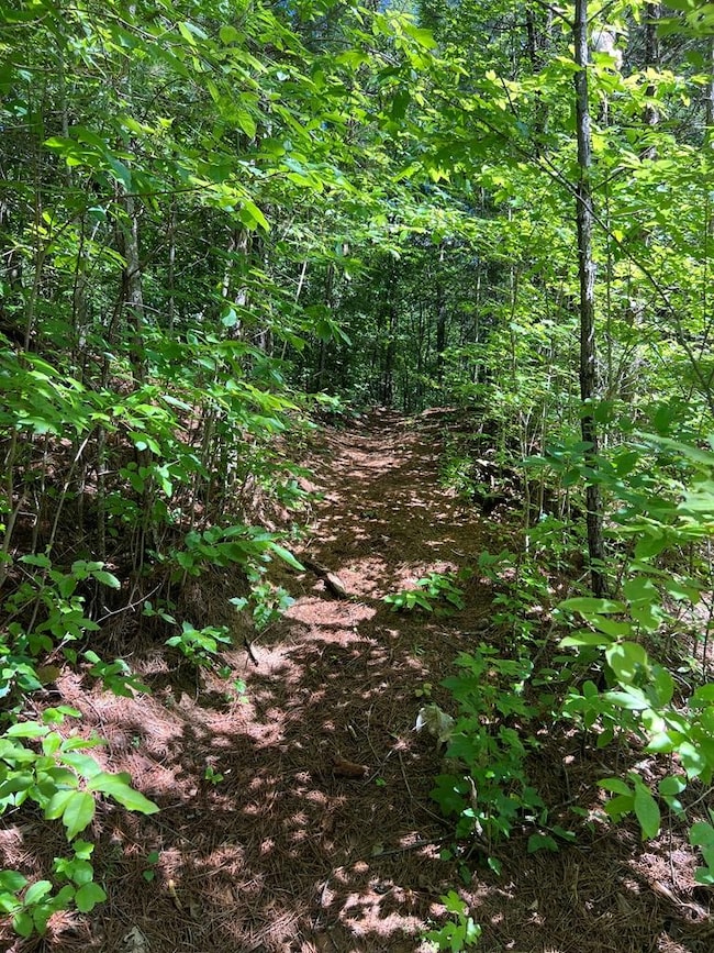 56 acres Old Highway 5 S, Talking Rock, GA 30175 - photo 2