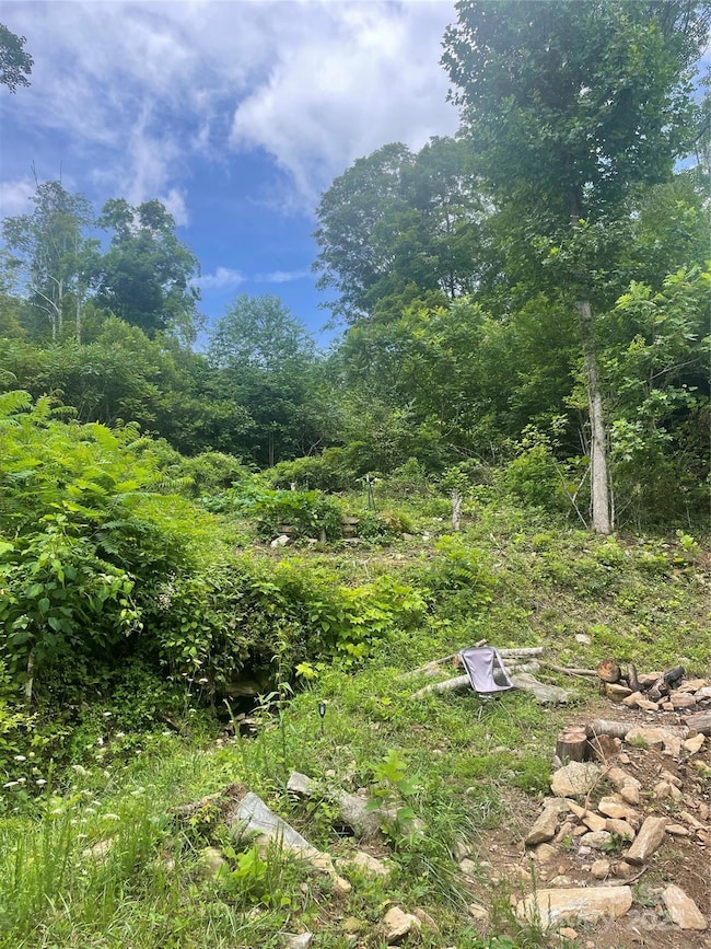 1201 Simms Fork Rd, Burnsville, NC 28714 - photo 7
