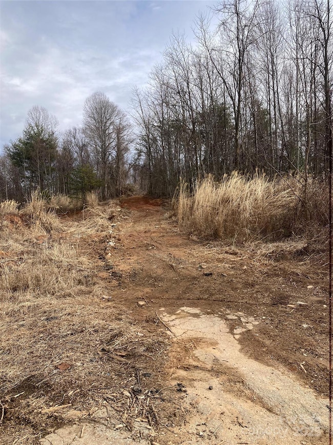 1638 Continental Divide Dr unit 1, Flat Rock, NC 28731 - photo 3