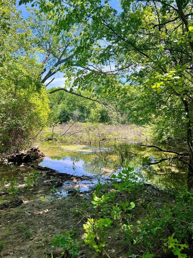 TBD Forest Trail Ct, Weatherford, TX 76085 - photo 5