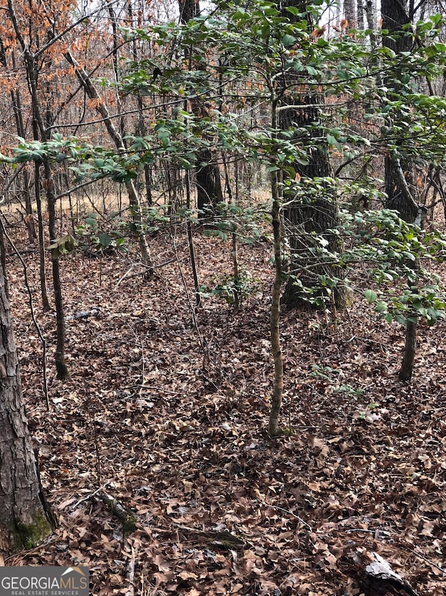 438 Lake Laurel Rd, Milledgeville, GA 31061 - photo 3