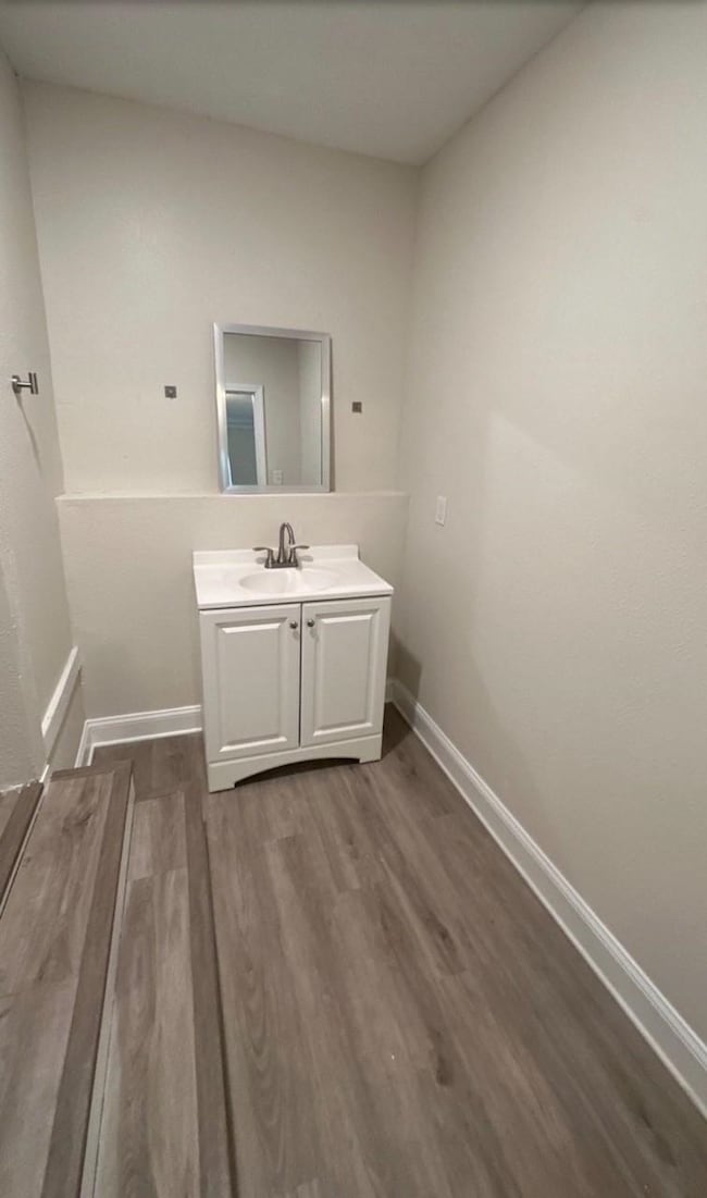 Bathroom featuring dark wood-style floors and vanity