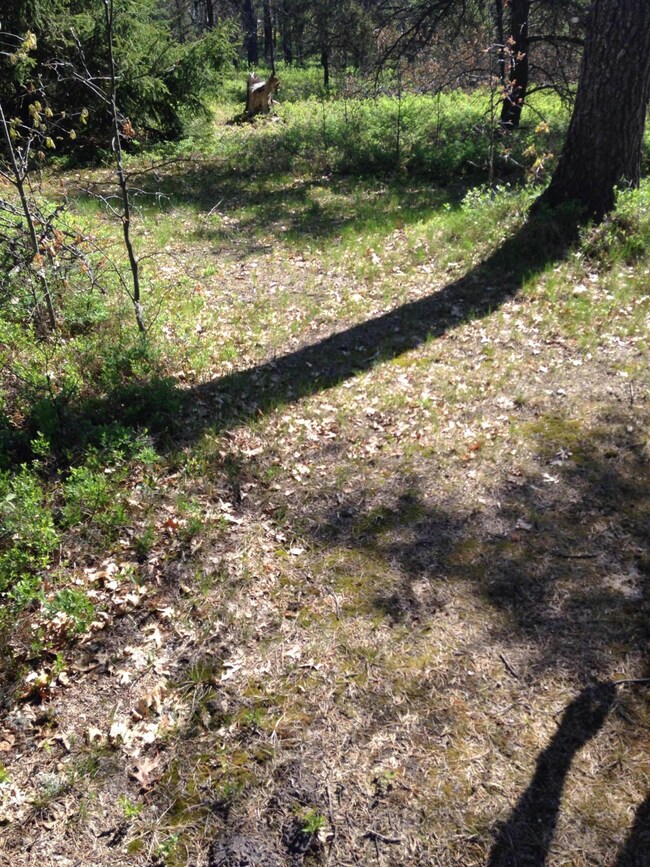 Trails