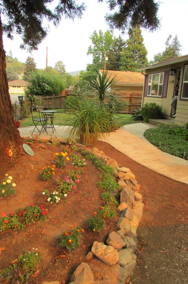 Front Yard