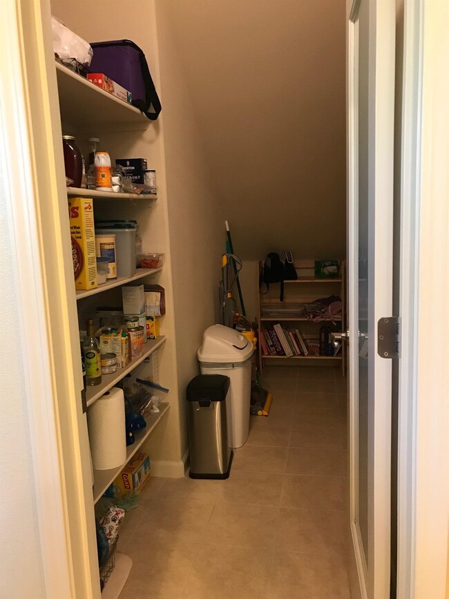 The kitchen includes a walk-in pantry with an opaq