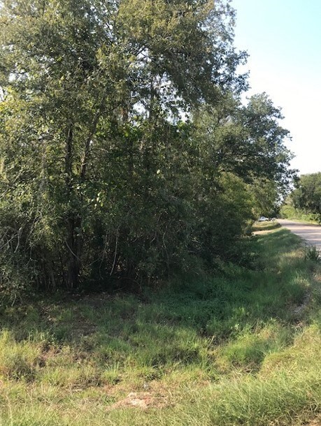 0 Leperchaun Ln, Brazoria, TX 77422 - photo 3