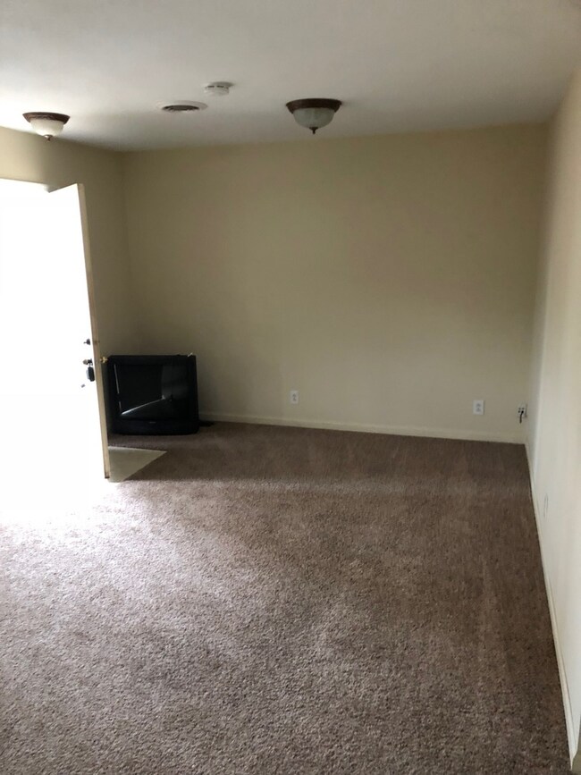 110 N Front St unit F, Danforth, IL 60930 - photo 4