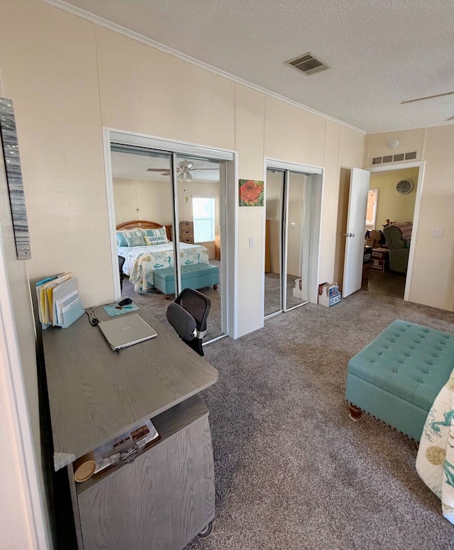 10533 Golden Terrace, New Port Richey, FL 34655 - photo 6