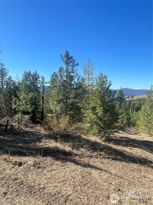0 High Country Rd W unit NWM2438687, Tonasket, WA 98855 - photo 2