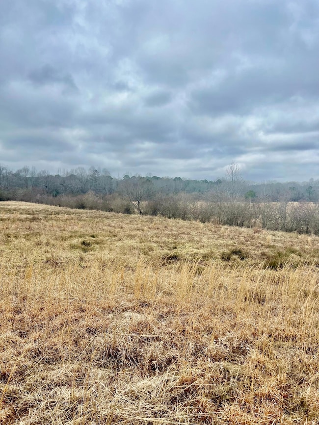 Development property
