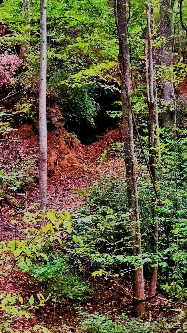 0 Shoal Ridge Ln unit 3, Union Mills, NC 28167 - photo 4