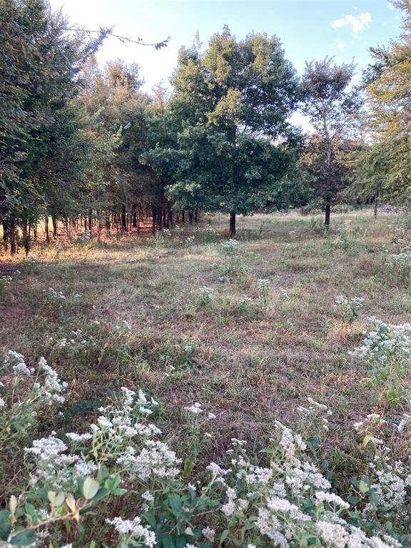 CR 113 County Road 113, Whitesboro, TX 76273 - photo 7