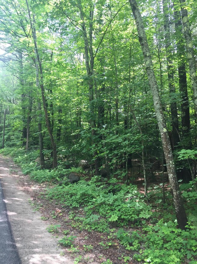 0 Doles Ridge Rd, Limerick, ME 04048 - photo 2